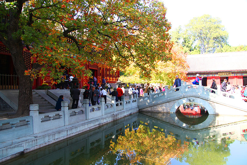 星干線藝考師生在香山公園